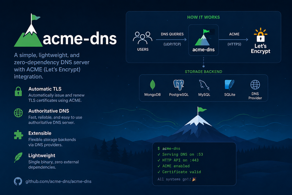 Self-Hosting acme-dns on a Hetzner VPS with Docker